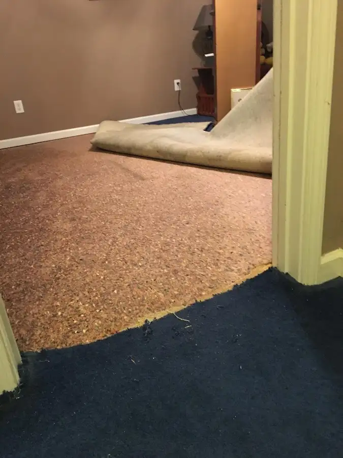 Carpet pad removal revealing water damage during Drying & Dehumidification in St. Anthony