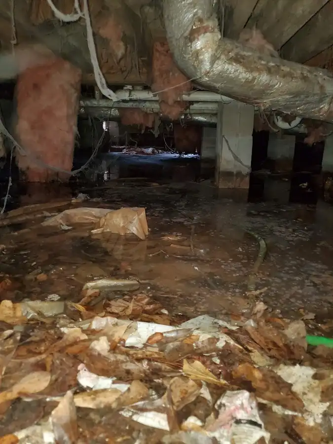 Crawl space flood assessment for Leak Detection & Repair in St. Anthony